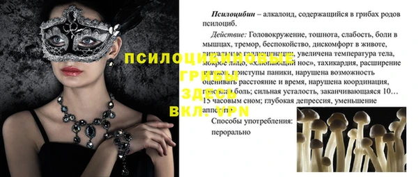 соль курить ск Пестово