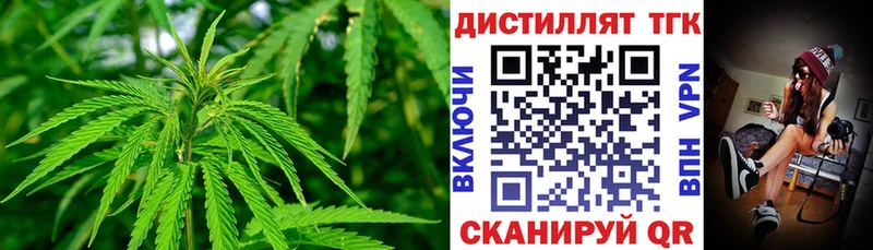 наркота  Сальск  ТГК концентрат 
