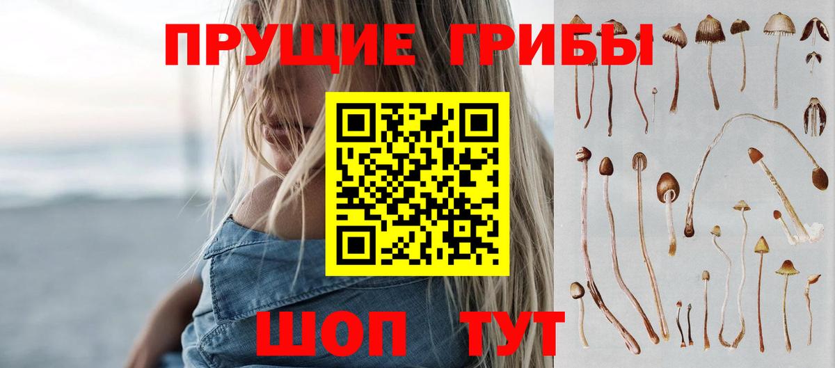 Псилоцибиновые грибы мицелий Сальск